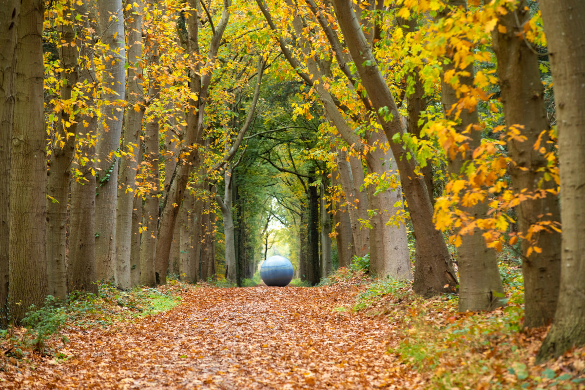 Into Nature: Out of Darkness